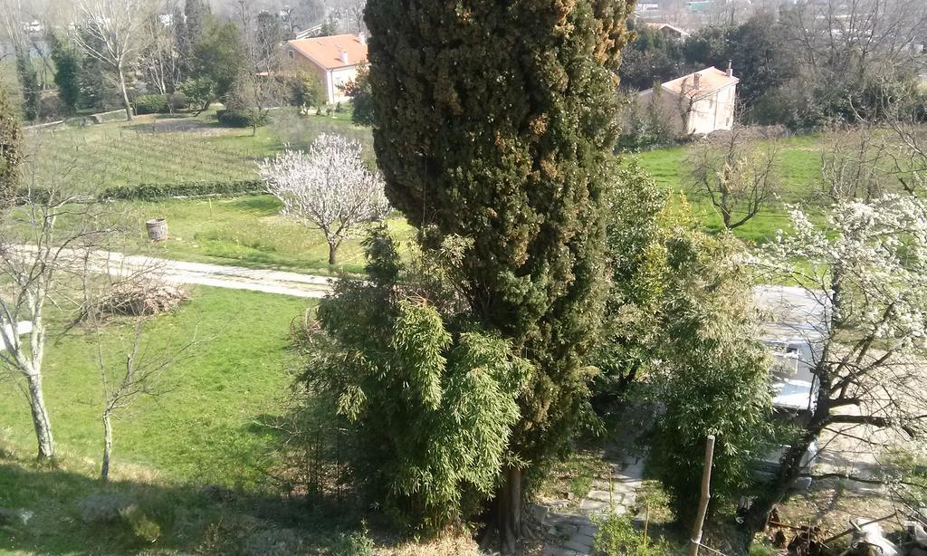 Agriturismo Bosco Fiorito Villa Múggia Kültér fotó